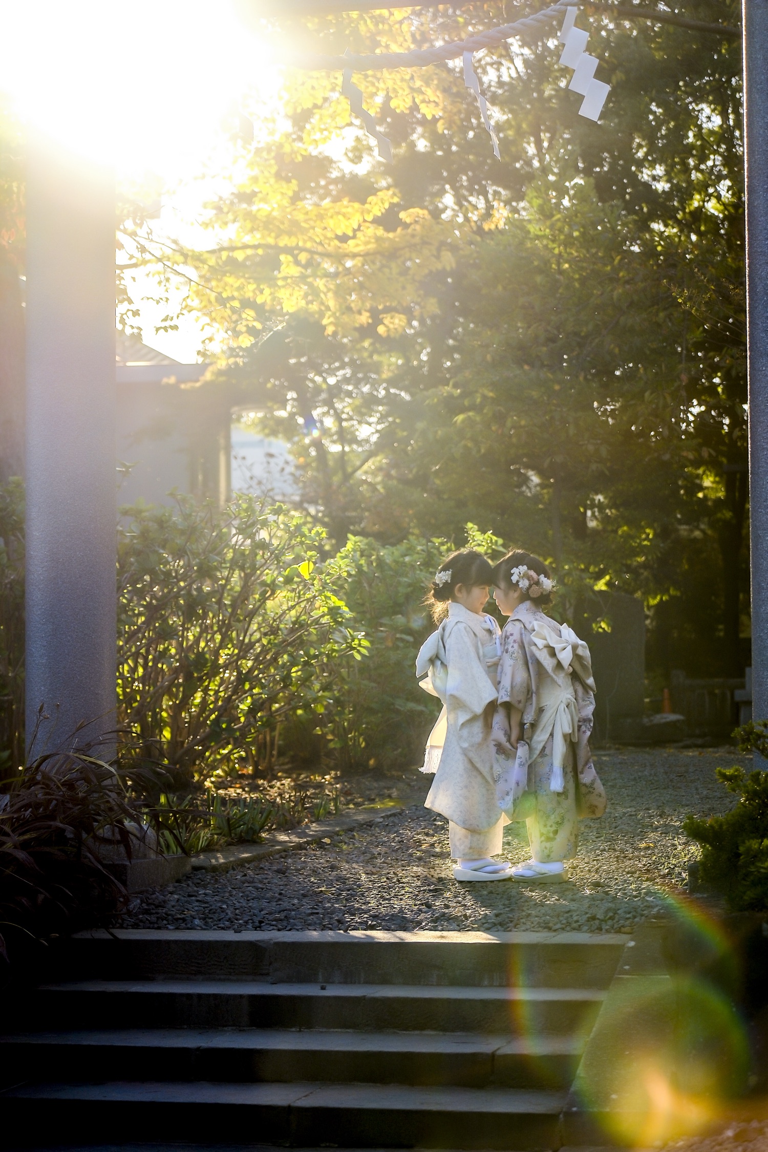 神社の参道を歩く七五三のお子さま